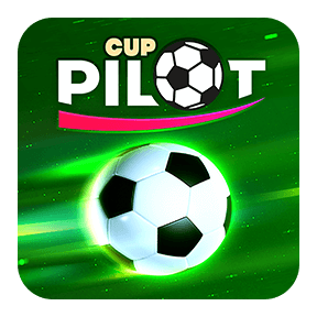 Pilot Cup