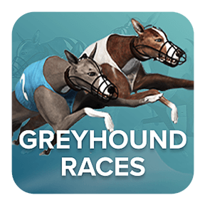 Grey Hound Races